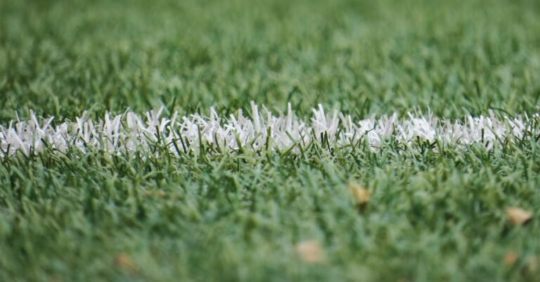Football 101: What You Need To Know To Improve Your Game